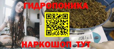 ГАЛЛЮЦИНОГЕННЫЕ ГРИБЫ Гусев
