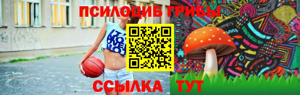 Псилоцибиновые грибы GOLDEN TEACHER Королёв